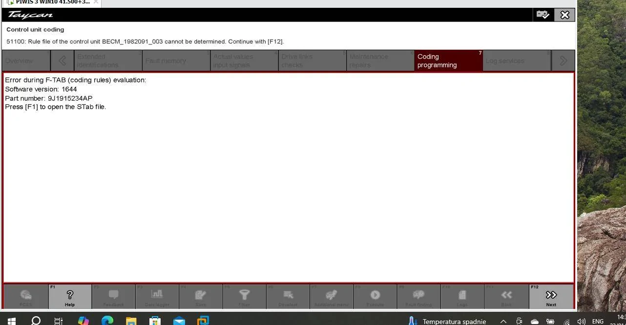 Porsche Taycan Piwi diagnostic program for Porche Taykan Screenshot 2025-01-23 143427