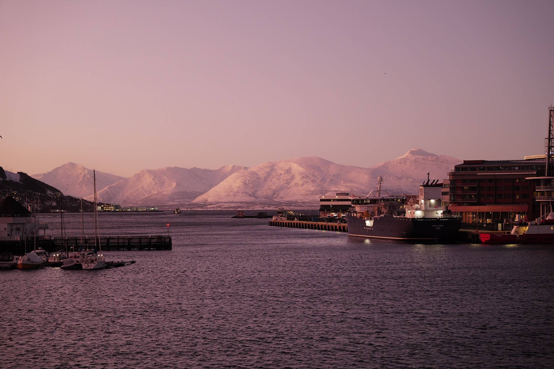 Porsche Taycan Taycan “Race” To Tromsø – Winter 2025 L1000012