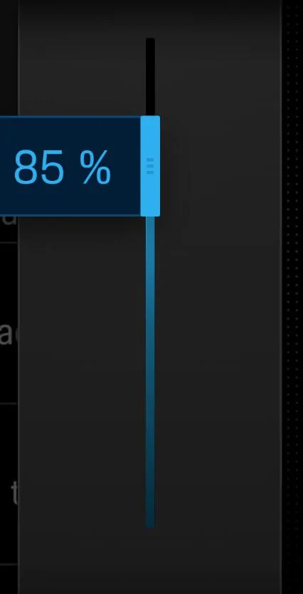 Porsche Taycan My PCM got wiped at service center- can't set maximum charge% any more? 1738715516293-3t