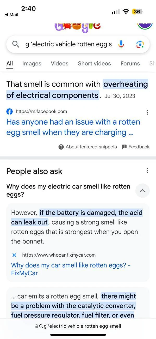 Porsche Taycan Rotten egg / sulphur smell IMG_0199