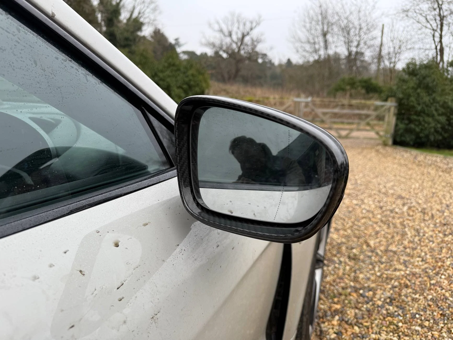Porsche Taycan Fitting aftermarket carbon wing mirror caps? Any tips? IMG_4314