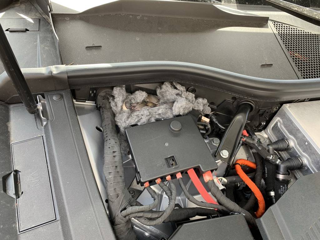 Porsche Taycan CAN SMALL ANIMALS ACCESS TAYCAN WIRING? B84BE63C-C3FF-4DDD-B505-7597EFA0C43B_1_105_c