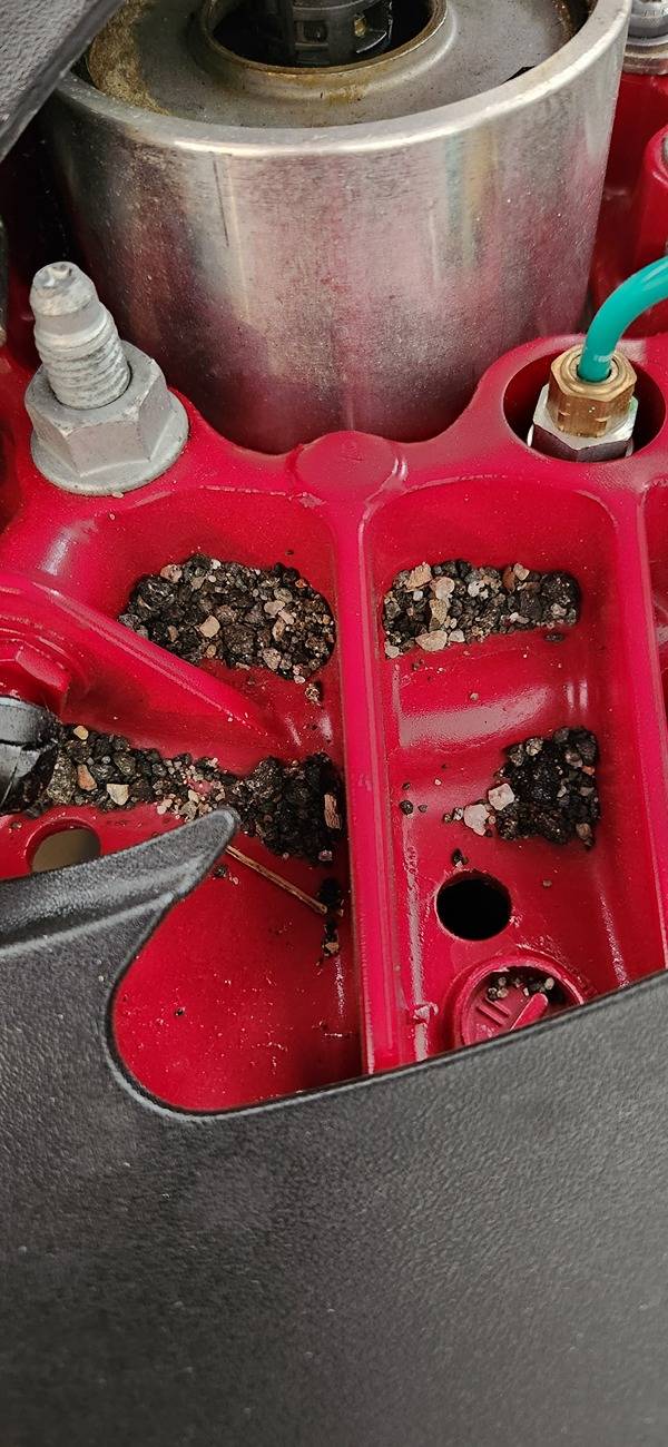 Porsche Taycan Pebbles and road debris under the hood 1000012867