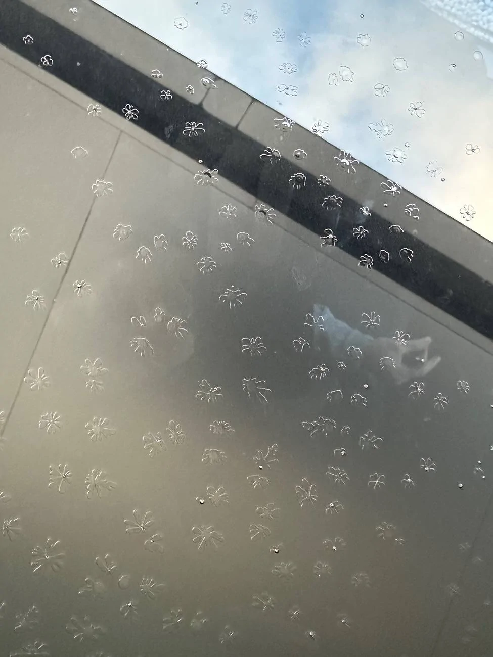 Porsche Taycan My glass roof has developed a crack IMG_8331