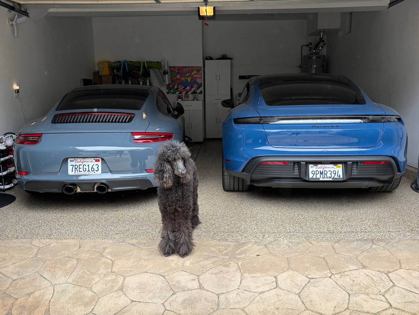 Porsche Taycan New excited owner 2025 IMG_9270