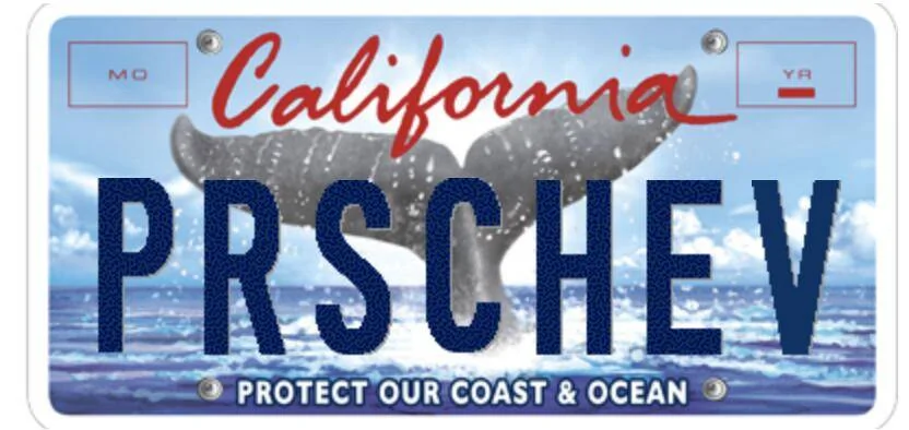 Porsche Taycan Personalized License Plates - What’s Yours / What do you Suggest? Screen Shot 2020-09-10 at 5.18.31 PM