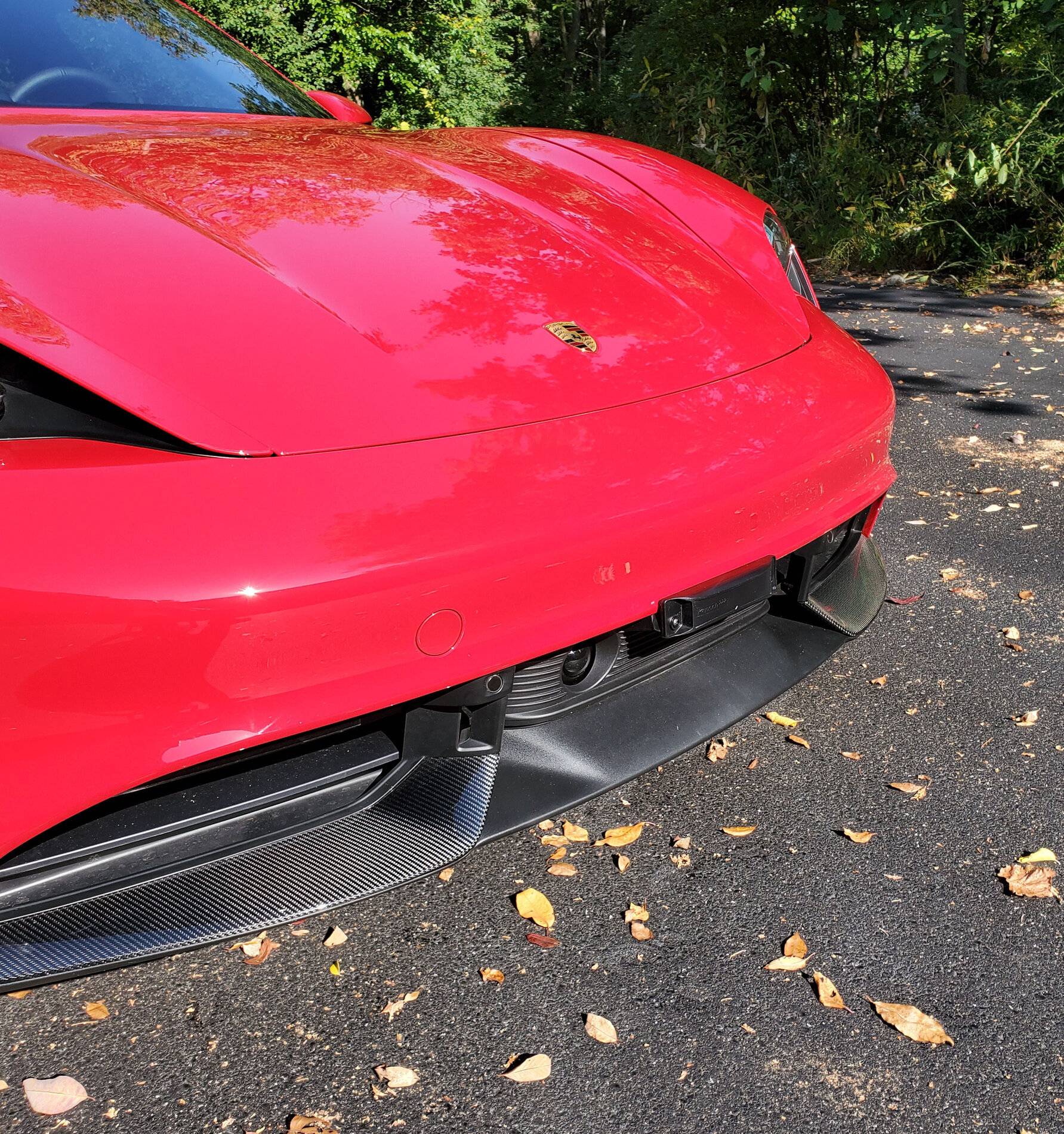 Porsche Taycan 3D Printed Removable Front Plate Mount for Taycan (Print Files Attached) Toll Transponder Mounted
