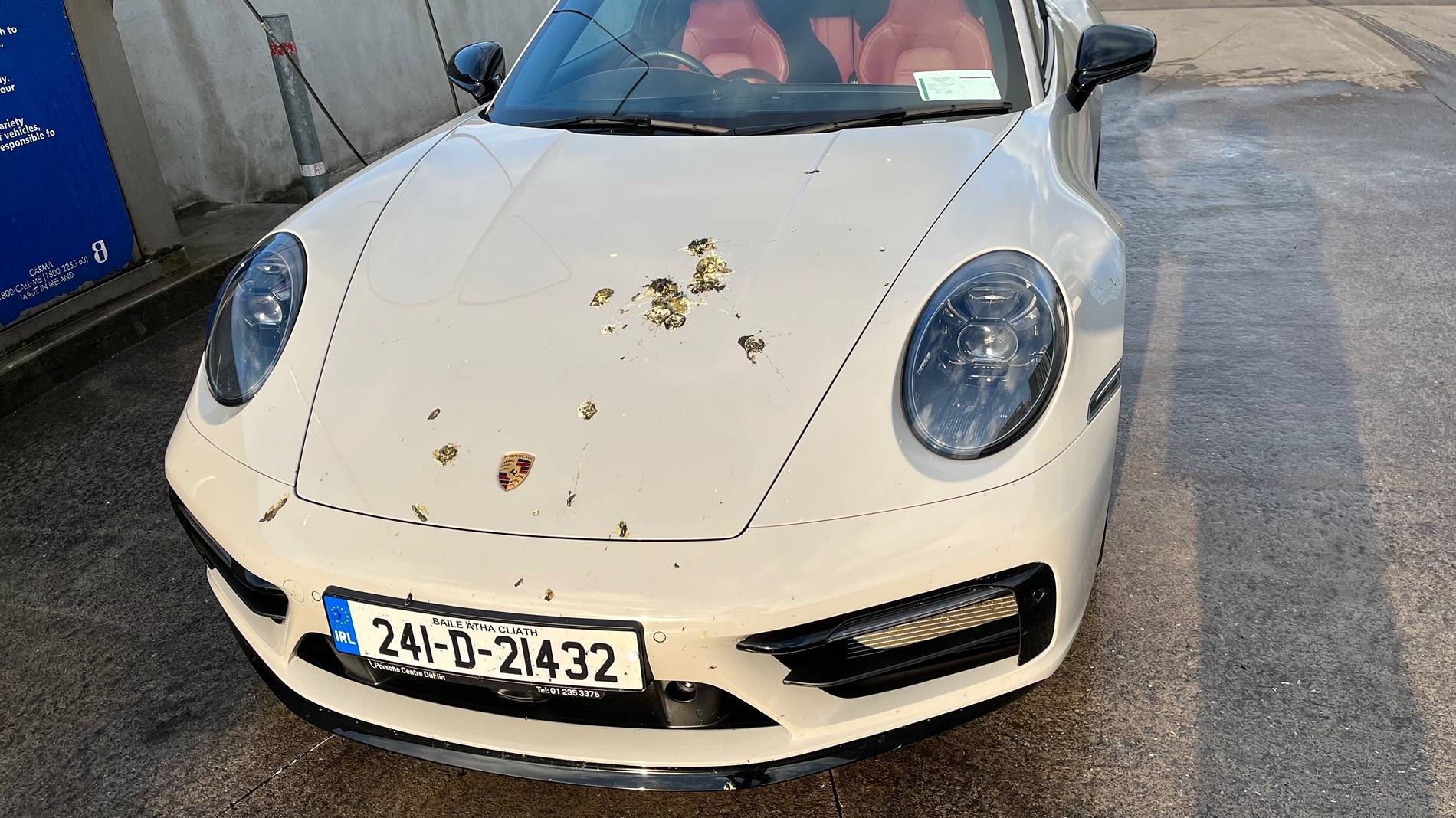 Porsche Taycan Gentian Blue w/ Ceramic - Do birds really like it? IMG_1334