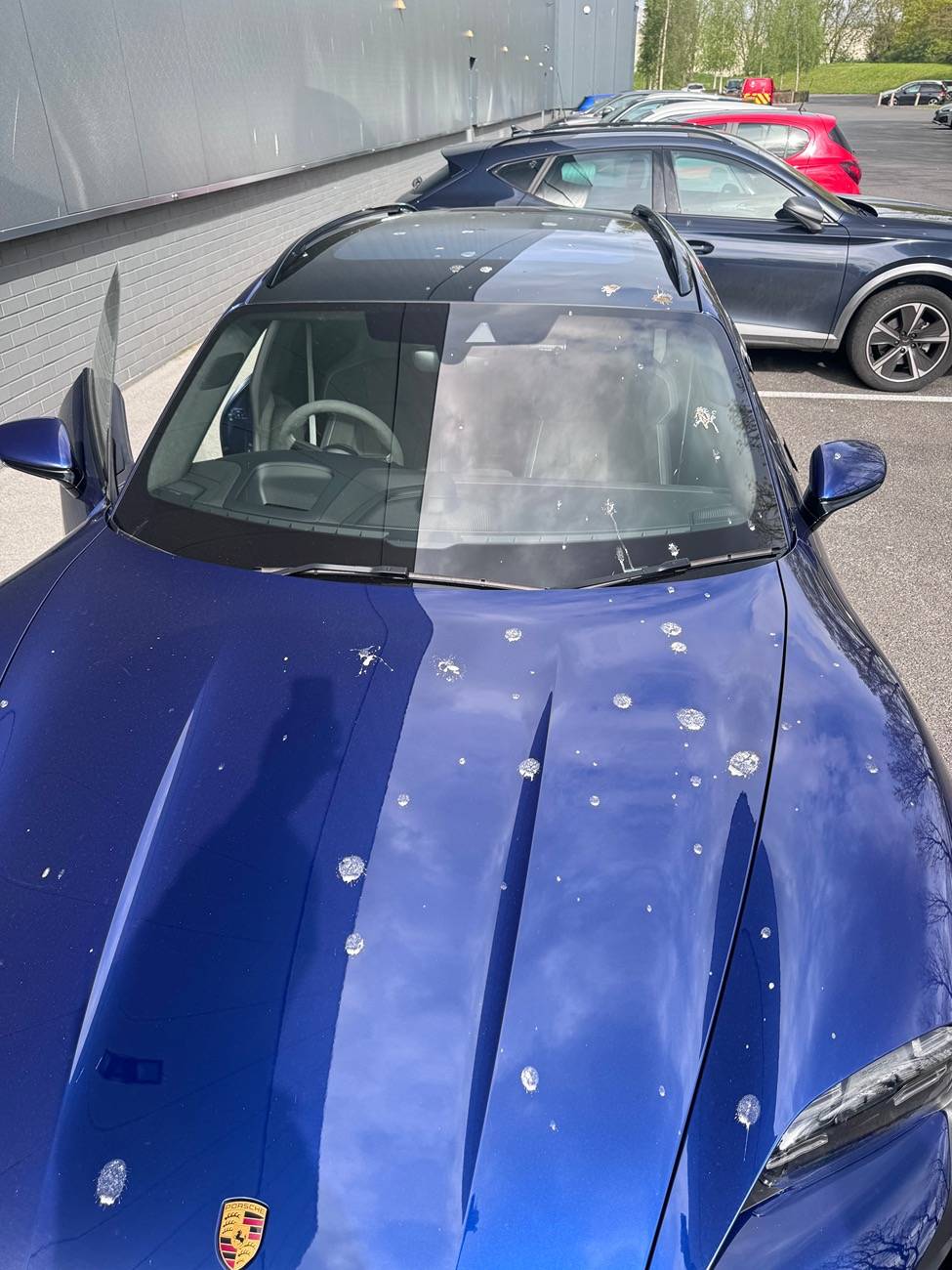 Porsche Taycan Gentian Blue w/ Ceramic - Do birds really like it? IMG_1132