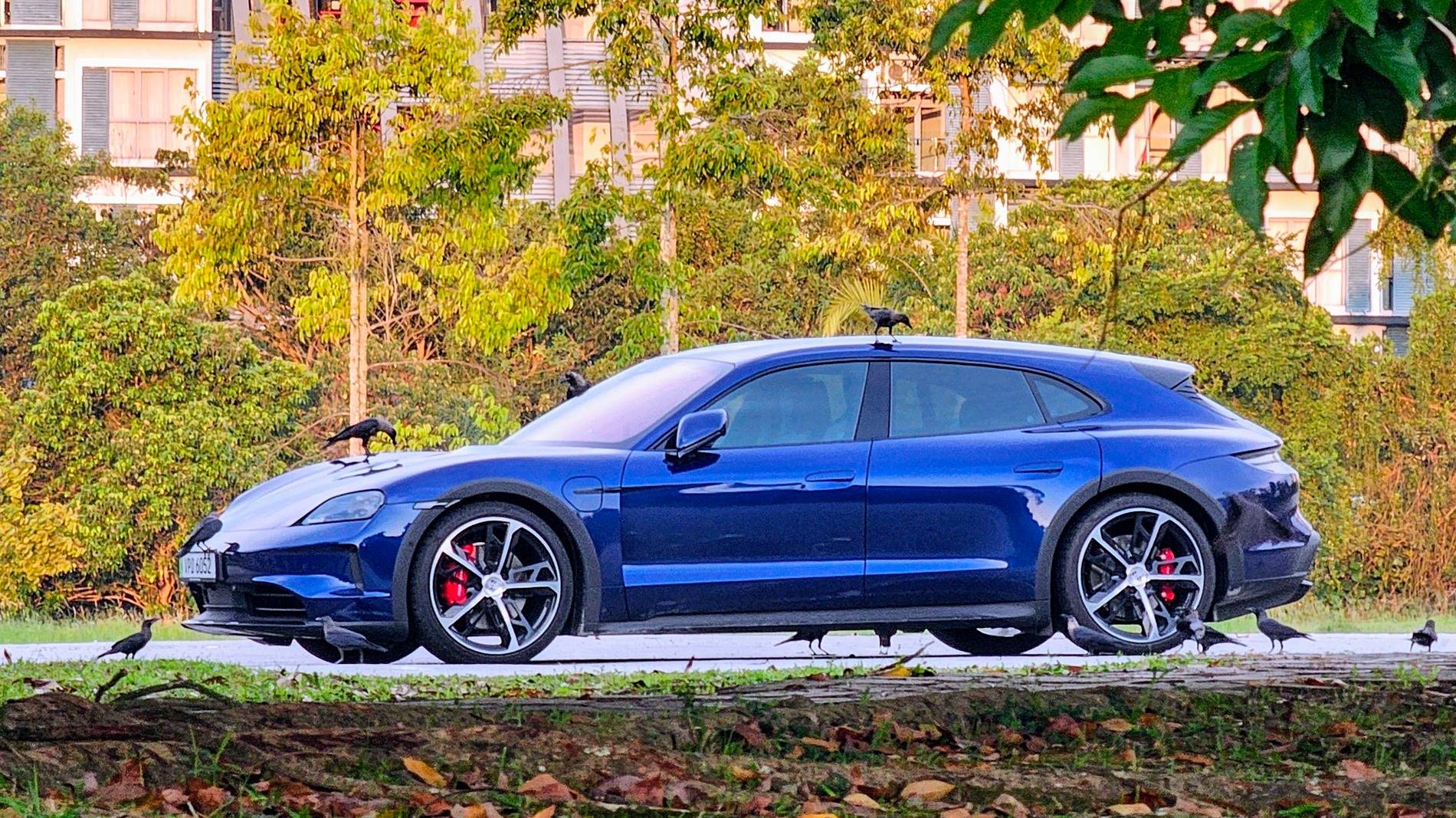 Porsche Taycan Gentian Blue w/ Ceramic - Do birds really like it? 20250621_185300-EDIT