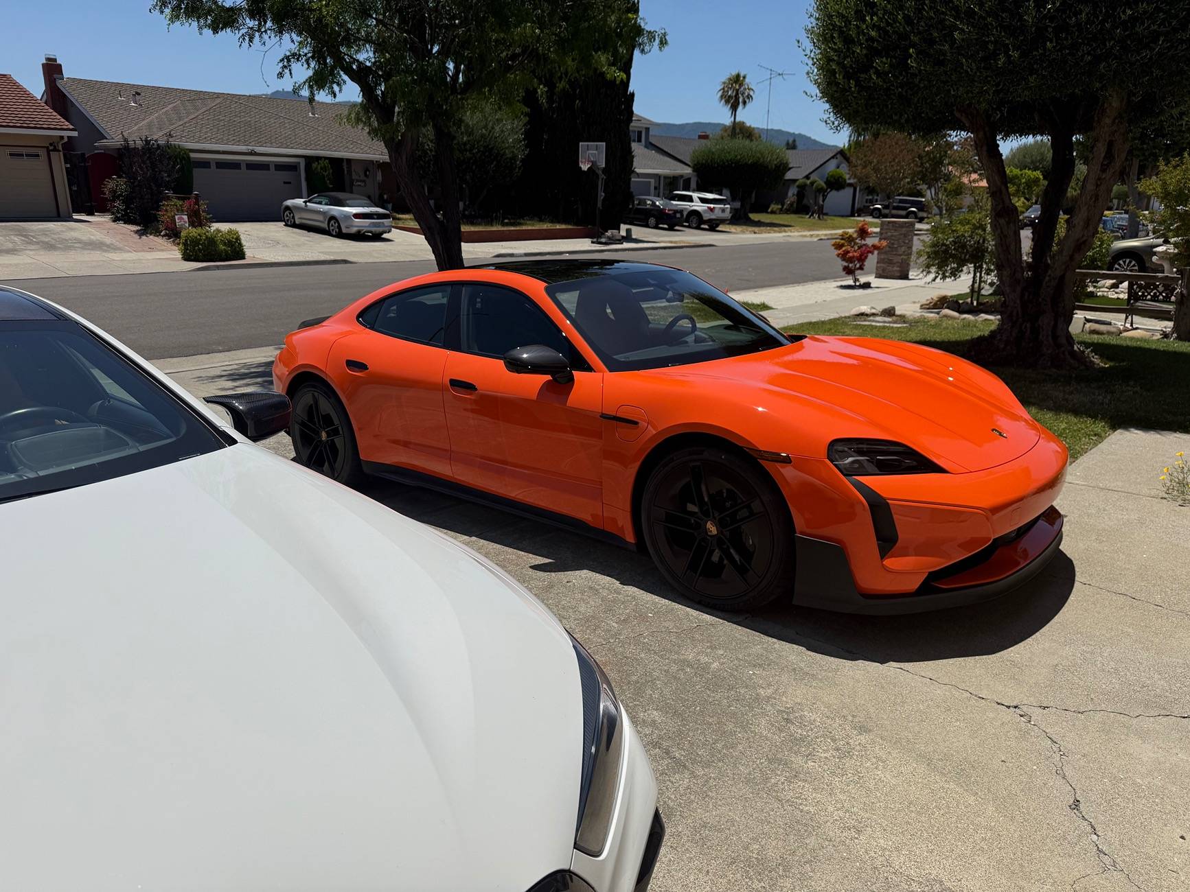 IMG_0944.jpeg