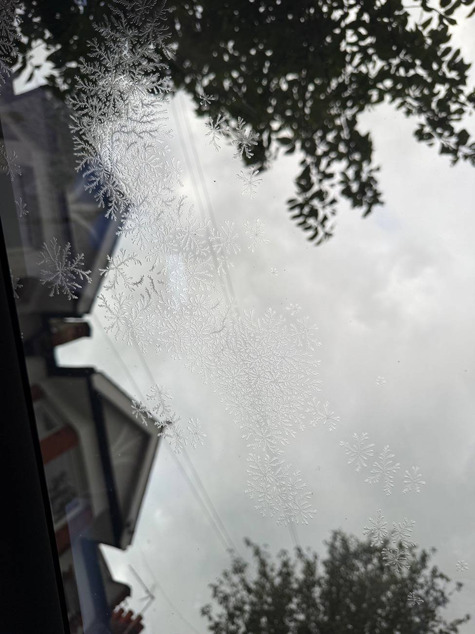 Porsche Taycan ice crystals in between panoramic glass panes IMG_3253