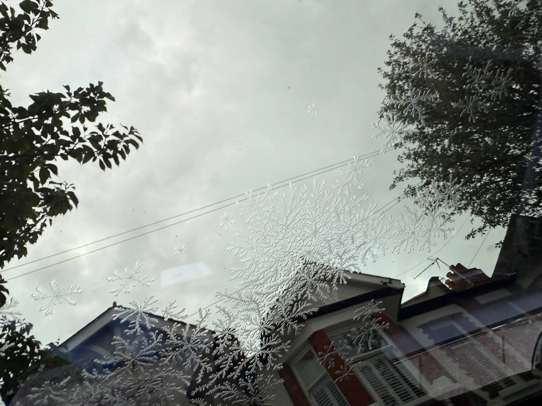 Porsche Taycan ice crystals in between panoramic glass panes IMG_3257