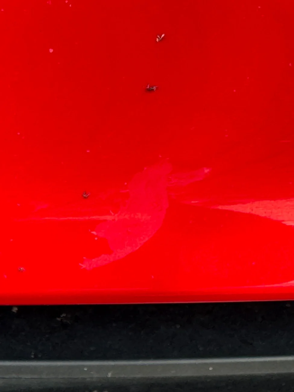 Porsche Taycan Taycan Paint Quality (Thickness Measured) IMG_0410