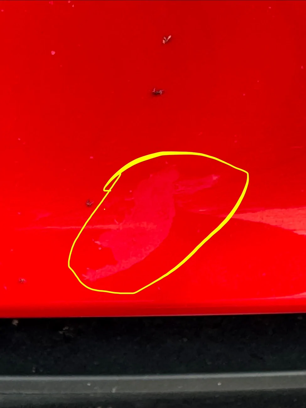Porsche Taycan Taycan Paint Quality (Thickness Measured) IMG_0410