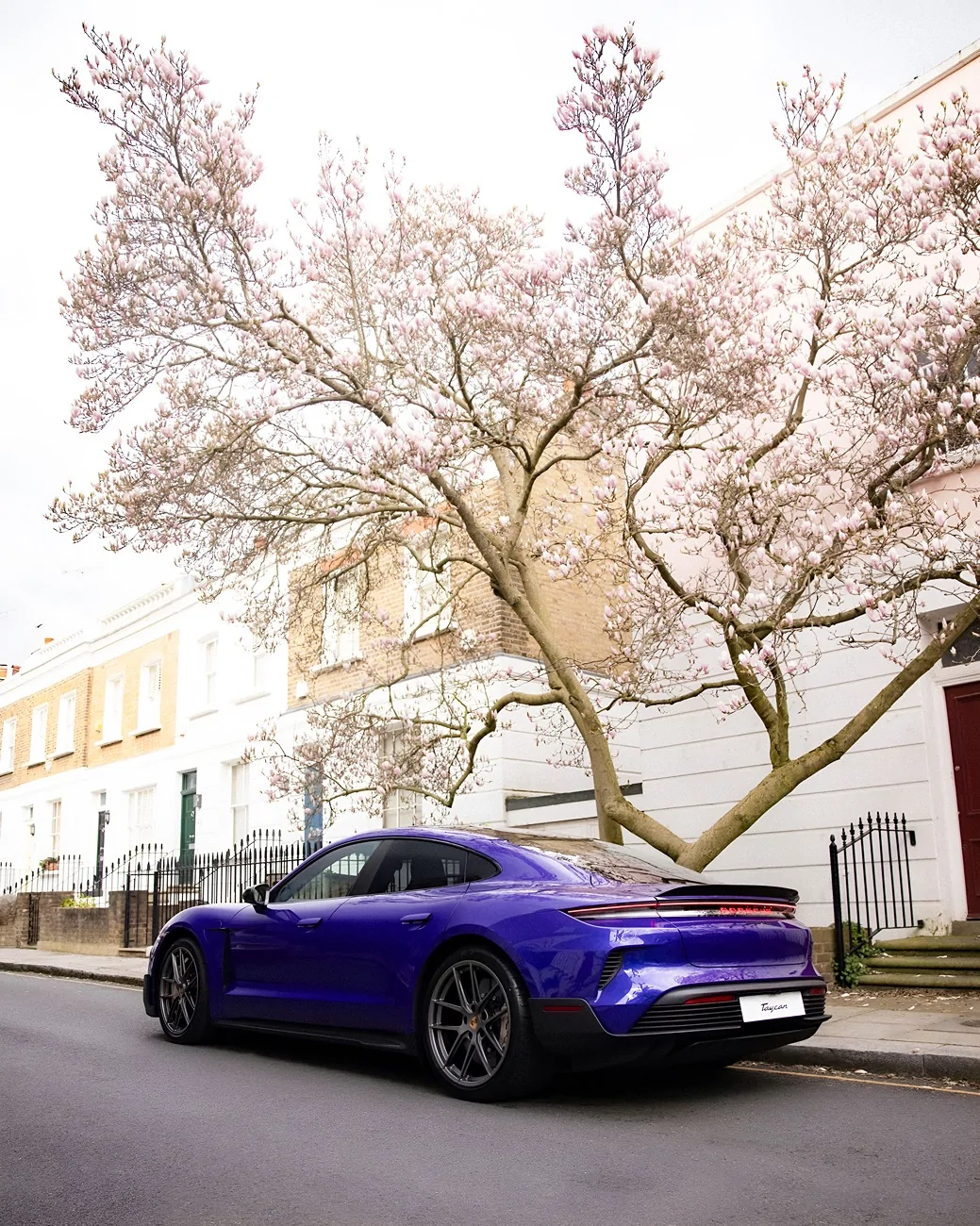 Porsche Taycan Location! Location! Location!  Post Artistic Photos of Your Taycan with Scenery IMG_8806