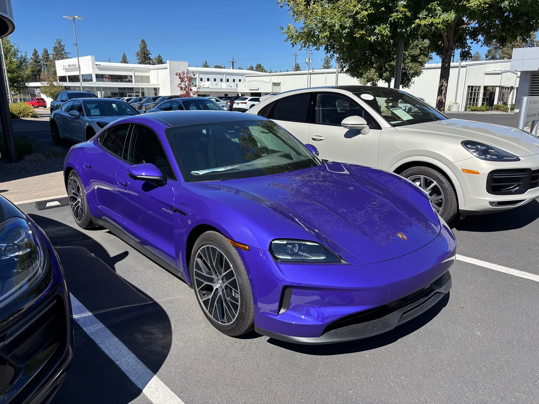 Porsche Taycan PURPLE SKY METALLIC Taycan Club IMG_7949