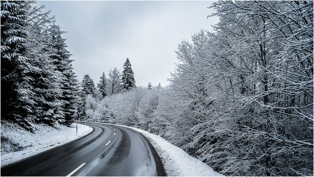 Porsche Taycan Winter in the Black Forest L1000361-web