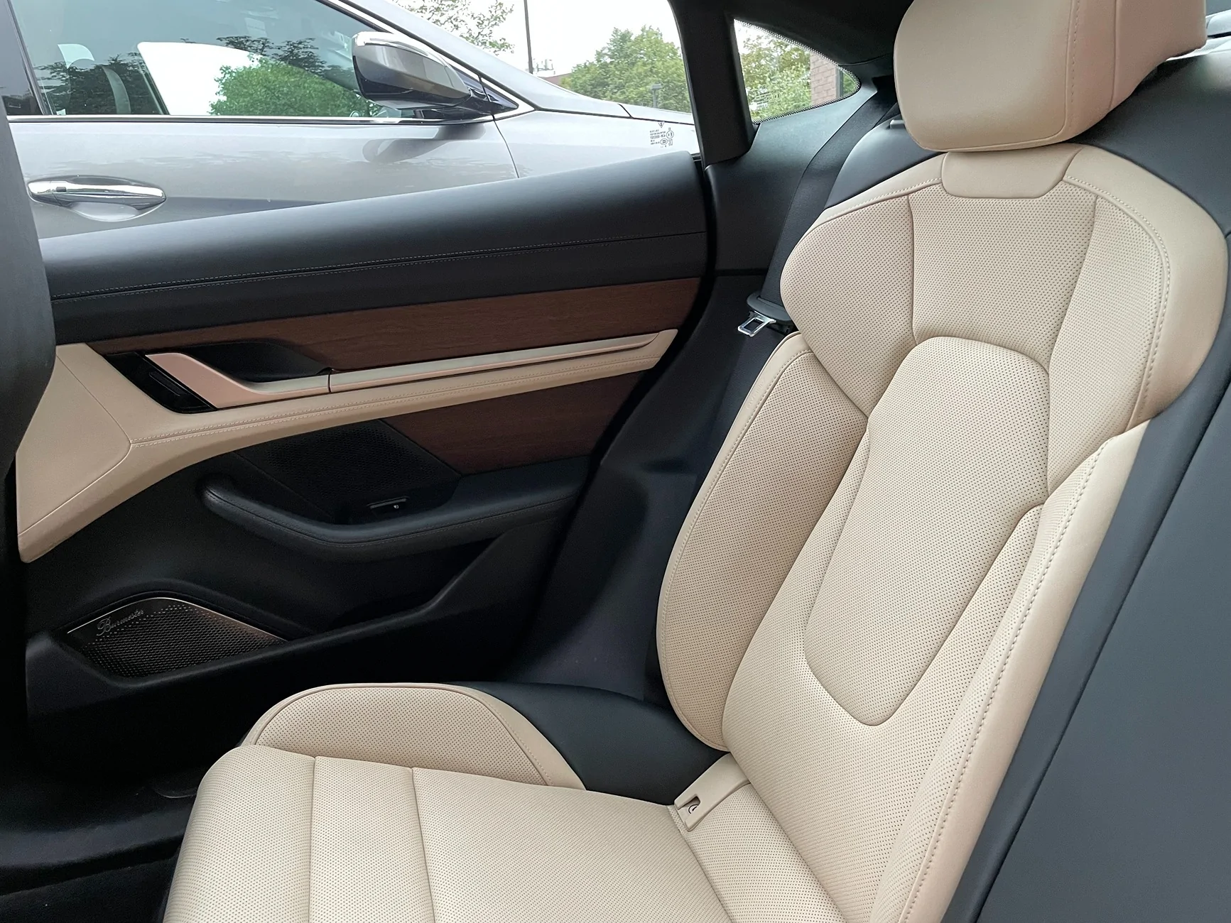 Porsche Taycan Anyone spec the "Paldao" interior trim?  How do you like it? IMG_2917