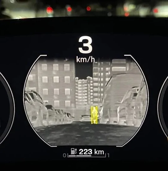 Porsche Taycan Night Vision Assist doing its thing photo_2023-01-19_19-27-27 (2)~2