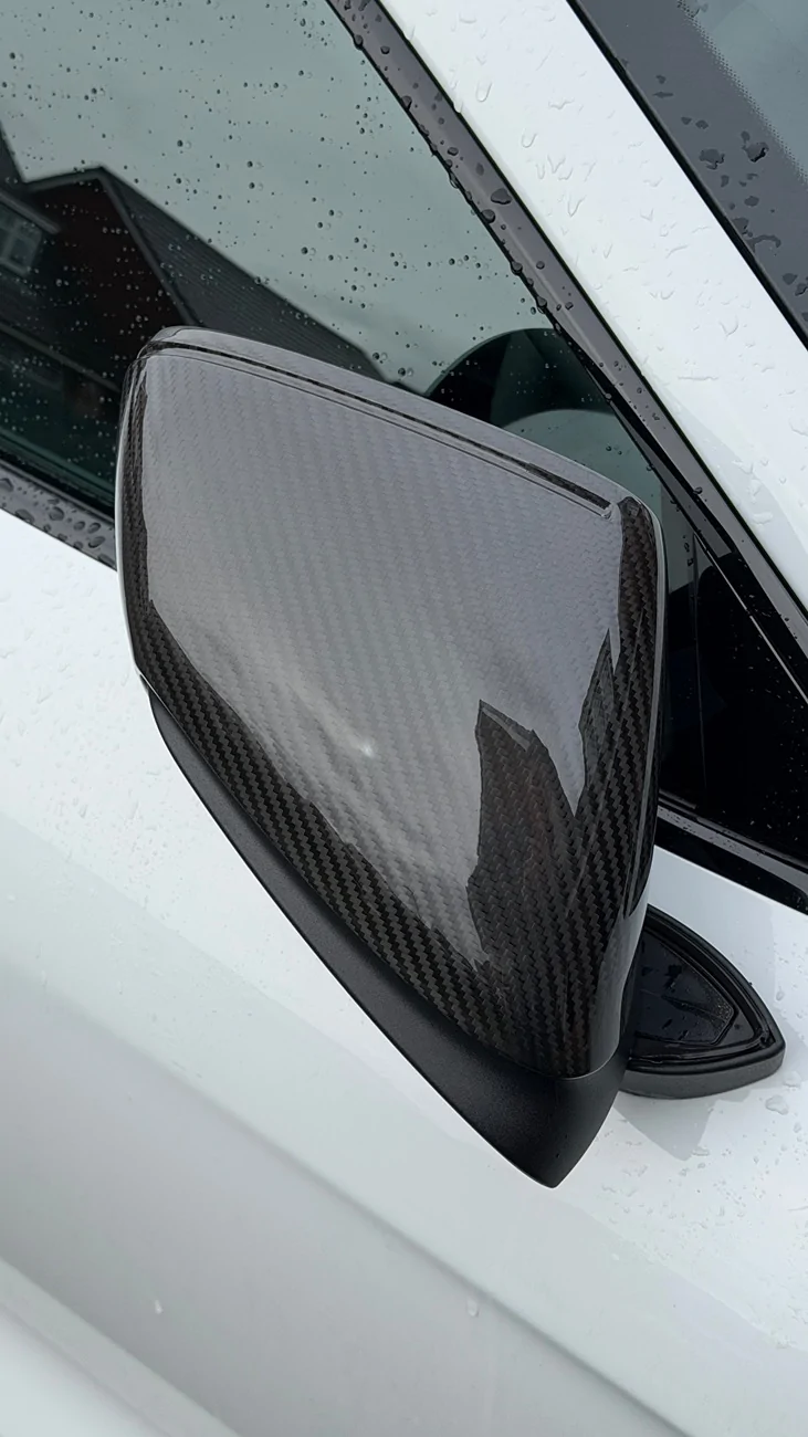 Porsche Taycan Carbon wing mirrors anyone IMG_0029