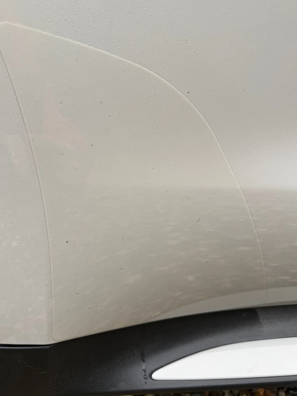 Porsche Taycan Cleaning the oem rear arch PPF protection? IMG_7769