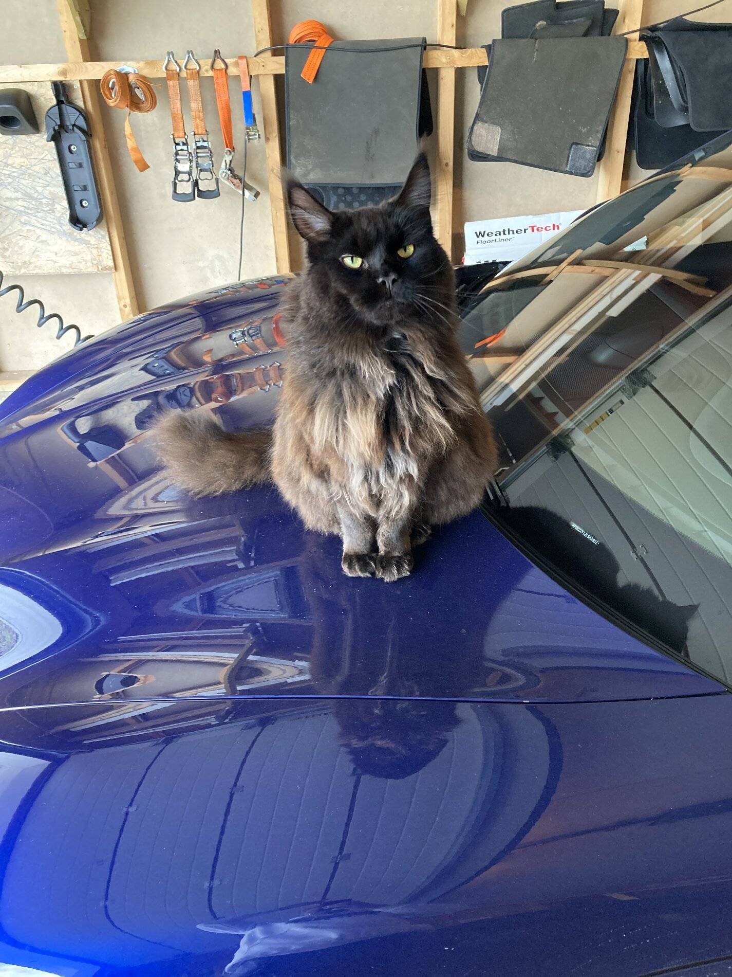 Porsche Taycan Ready for winter image
