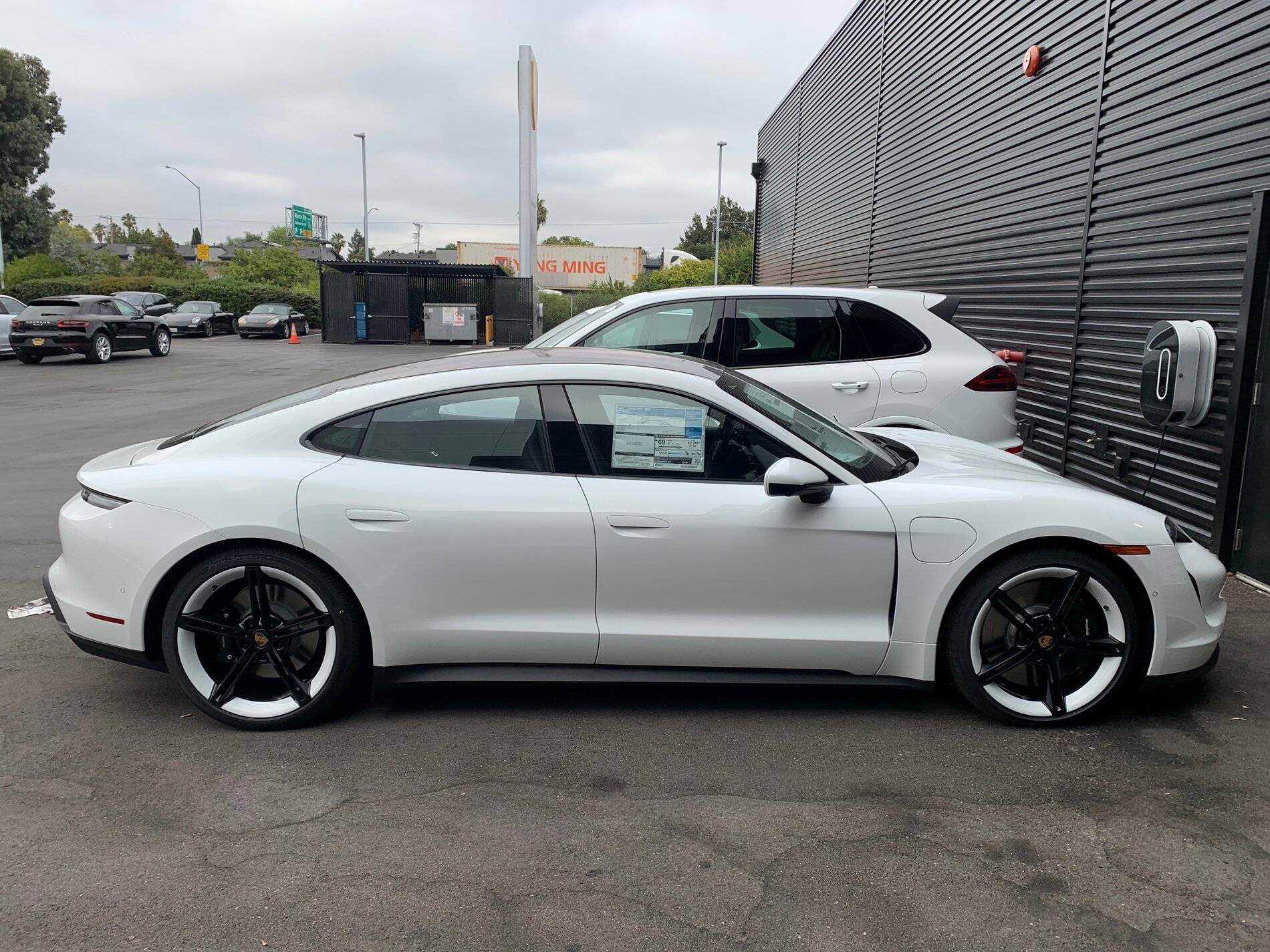 Porsche Taycan Official Taycan Owners Registry image1