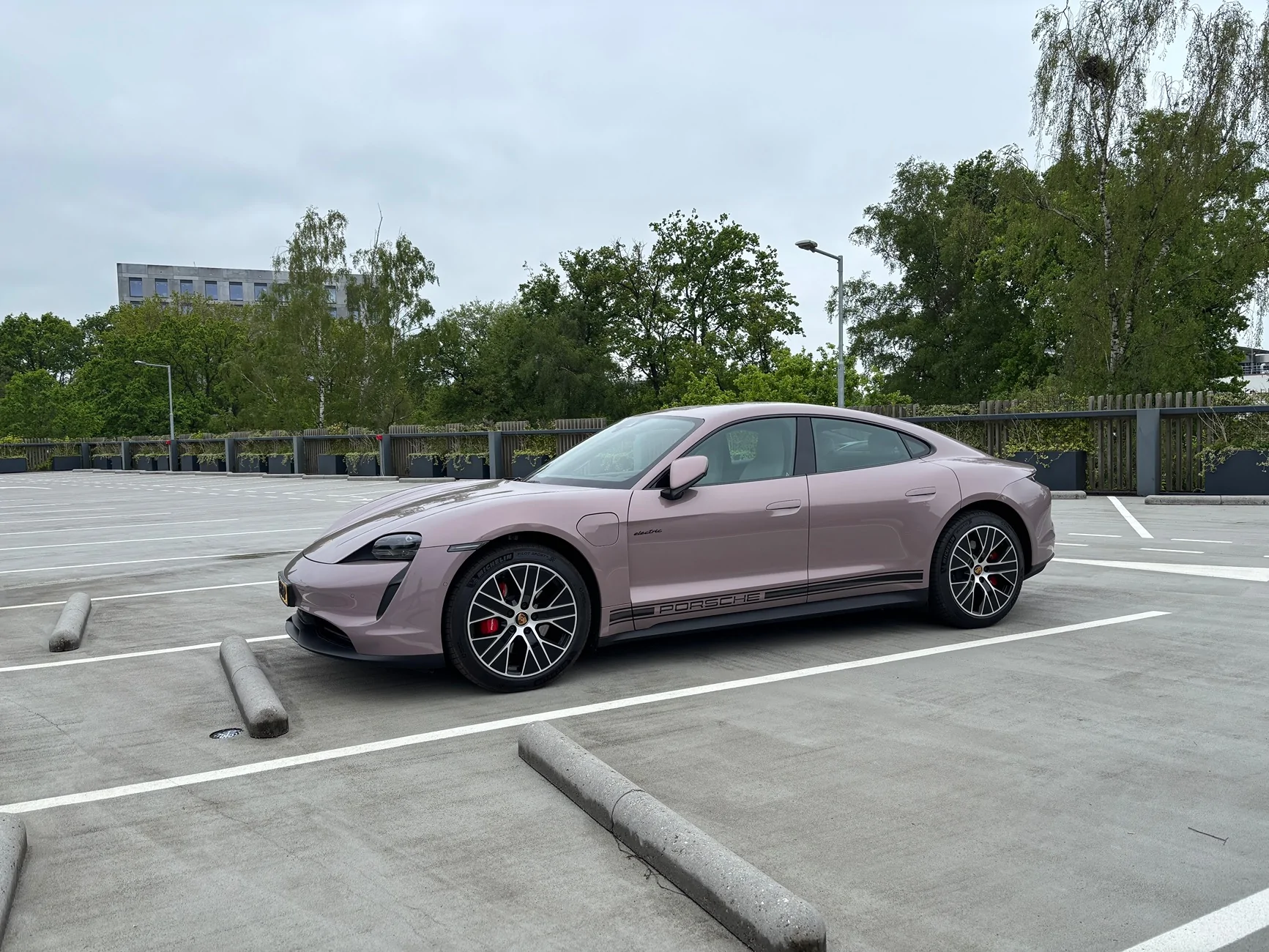Porsche Taycan FROZEN BERRY METALLIC Taycan Club IMG_5551
