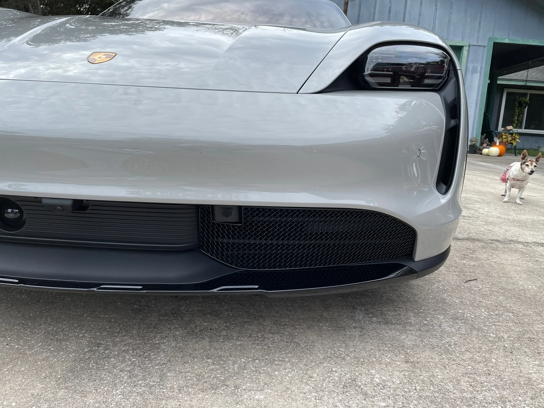 Porsche Taycan Zun Sport grills IMG_0661