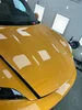 ppf7.webp