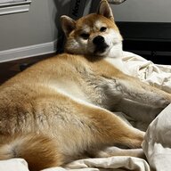 SuhrWinston