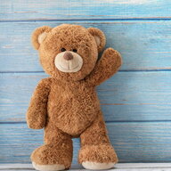 eddy ted